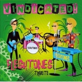 Vindicated! A Tribute To The Fleshtones
