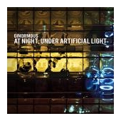 At Night, Under Artificial Light 