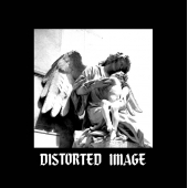 Distorted Image