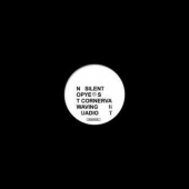 Pye Corner Audio / Silent Servant / Not Waving