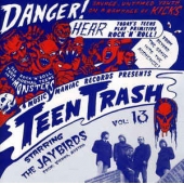 Teen Trash Vol. 13