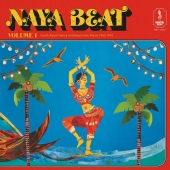 Naya Beat Volume 1: South Asian Dance And Electronic Music 1983-1992