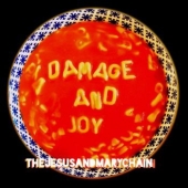 Damage And Joy