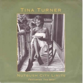 Nutbush City Limits (the 90's Version) / The Best (edit)