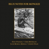 Blue Notes For Mongezi