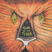 Glare Of The Tiger