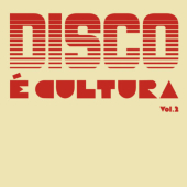 Disco E Cultura Vol. 2