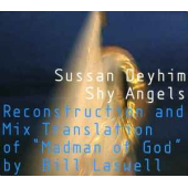 Shy Angels - Reconstruction And Mix Translation Of "madman Of God" By Bill Laswell